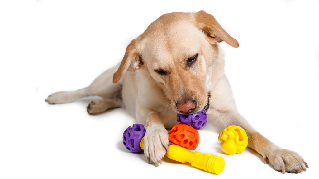 k9 connectables dog toys